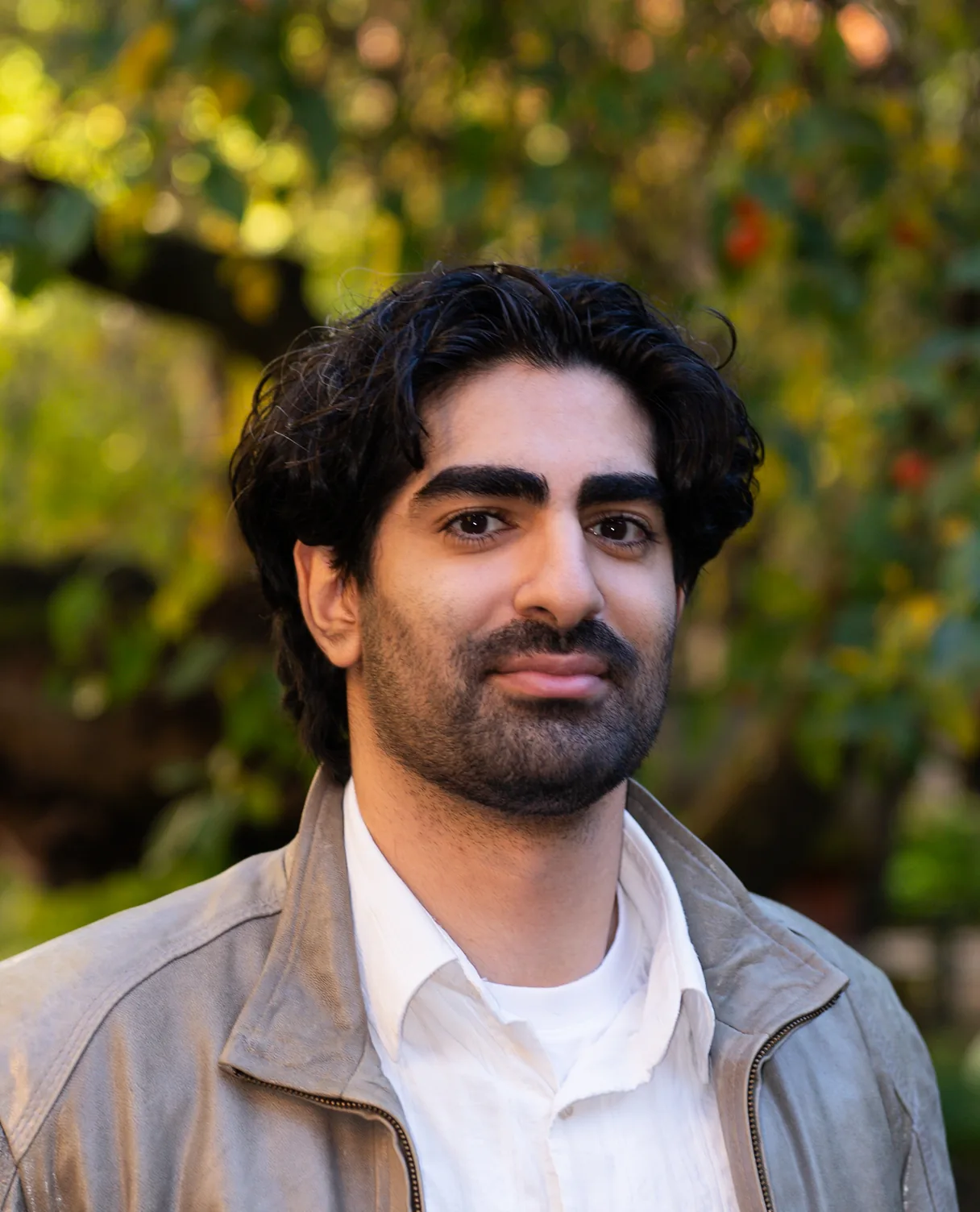 Arian Hanifi, Strawberry co-founder